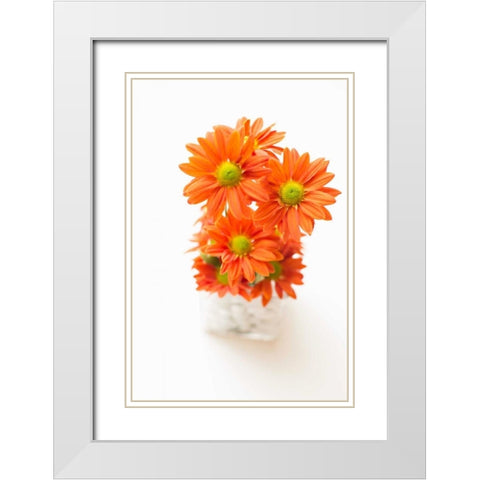 Spring Bouquet White Modern Wood Framed Art Print with Double Matting by Millet, Karyn