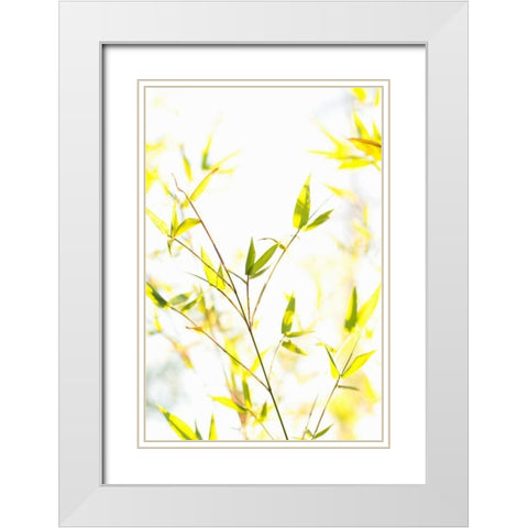 Bamboo I White Modern Wood Framed Art Print with Double Matting by Millet, Karyn