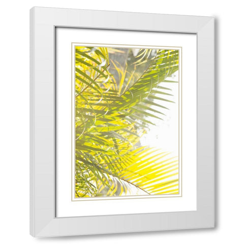 Palm Fonds White Modern Wood Framed Art Print with Double Matting by Millet, Karyn