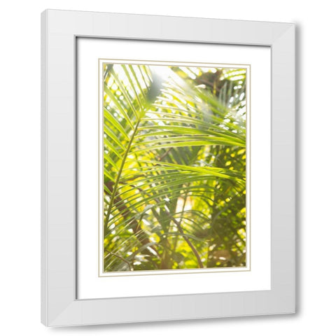 Palm Fonds II White Modern Wood Framed Art Print with Double Matting by Millet, Karyn