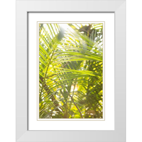 Palm Fonds II White Modern Wood Framed Art Print with Double Matting by Millet, Karyn