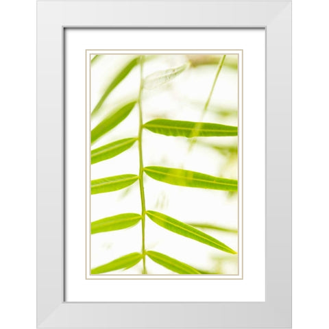 Palm Fonds III White Modern Wood Framed Art Print with Double Matting by Millet, Karyn