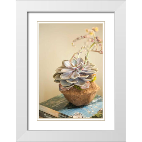 Small Succulent White Modern Wood Framed Art Print with Double Matting by Millet, Karyn
