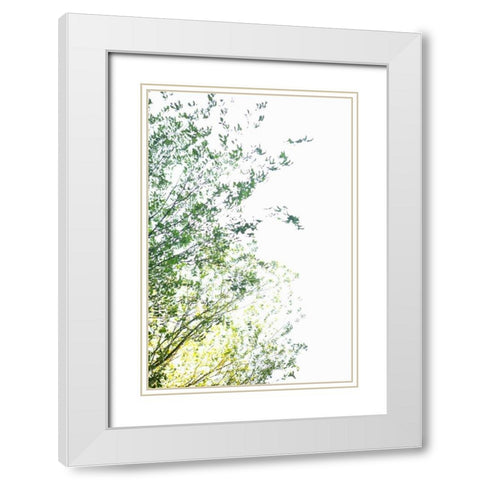 Trees I White Modern Wood Framed Art Print with Double Matting by Millet, Karyn