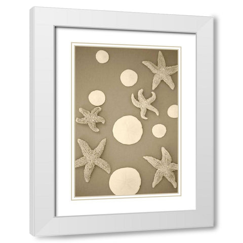 Starfish and Sand Dollars II White Modern Wood Framed Art Print with Double Matting by Millet, Karyn