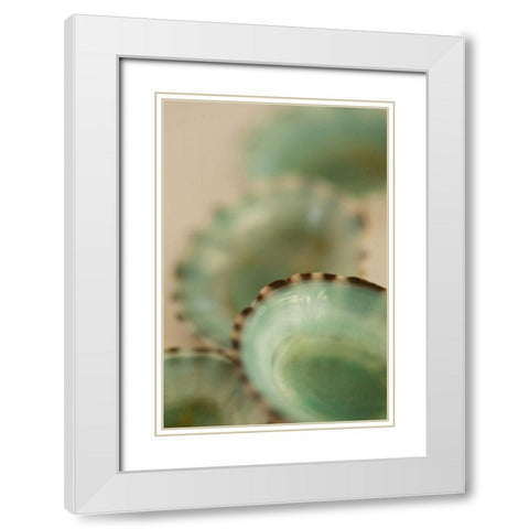 Sea Shells IV White Modern Wood Framed Art Print with Double Matting by Millet, Karyn