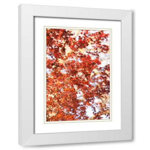 Fall Leaves White Modern Wood Framed Art Print with Double Matting by Millet, Karyn