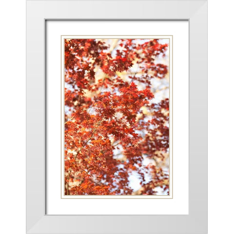 Fall Leaves White Modern Wood Framed Art Print with Double Matting by Millet, Karyn