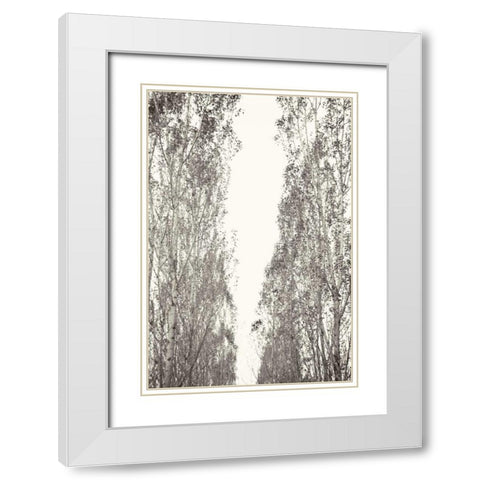 Trees III White Modern Wood Framed Art Print with Double Matting by Millet, Karyn