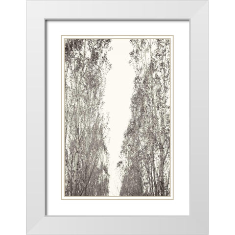 Trees III White Modern Wood Framed Art Print with Double Matting by Millet, Karyn