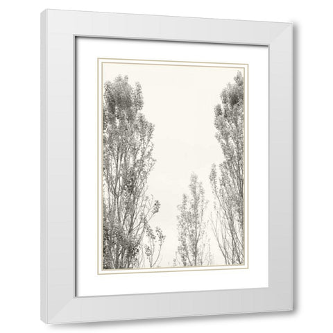 Trees IV White Modern Wood Framed Art Print with Double Matting by Millet, Karyn