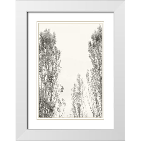 Trees IV White Modern Wood Framed Art Print with Double Matting by Millet, Karyn