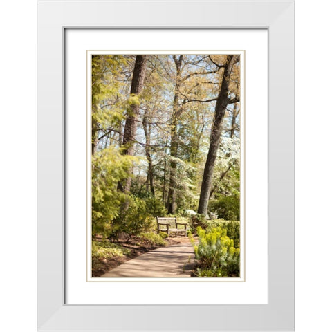 Park Bench White Modern Wood Framed Art Print with Double Matting by Millet, Karyn