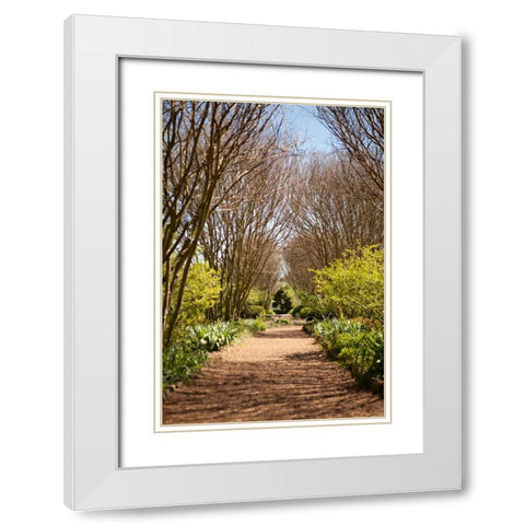 The Park in Autumn White Modern Wood Framed Art Print with Double Matting by Millet, Karyn