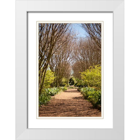 The Park in Autumn White Modern Wood Framed Art Print with Double Matting by Millet, Karyn
