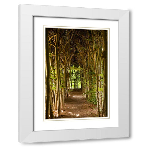 Path Through the Trees White Modern Wood Framed Art Print with Double Matting by Millet, Karyn