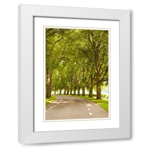 Road Through the Grove White Modern Wood Framed Art Print with Double Matting by Millet, Karyn