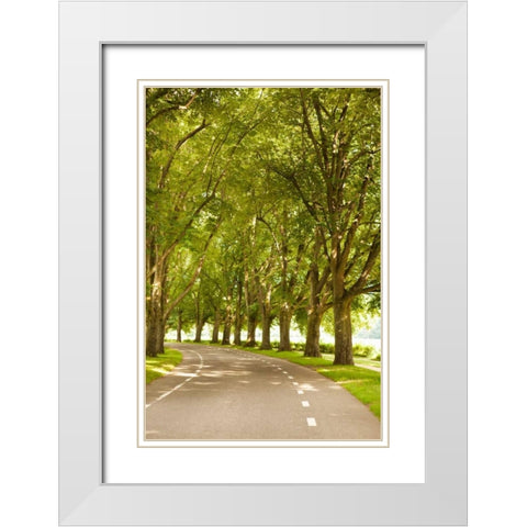 Road Through the Grove White Modern Wood Framed Art Print with Double Matting by Millet, Karyn