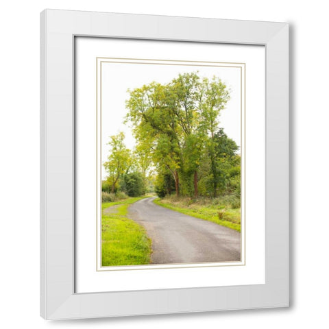 Country Road IV White Modern Wood Framed Art Print with Double Matting by Millet, Karyn