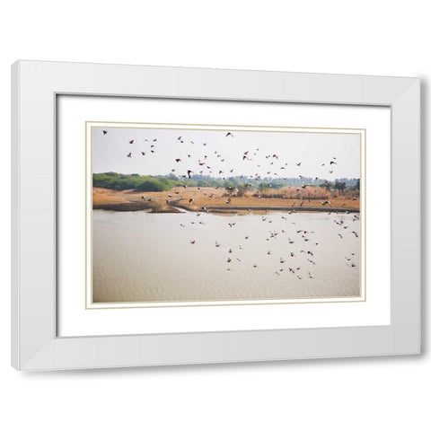 Birds I White Modern Wood Framed Art Print with Double Matting by Millet, Karyn