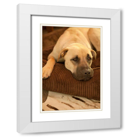 Resting White Modern Wood Framed Art Print with Double Matting by Millet, Karyn