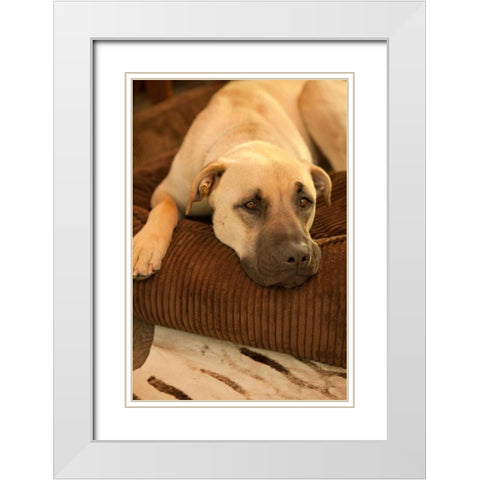 Resting White Modern Wood Framed Art Print with Double Matting by Millet, Karyn
