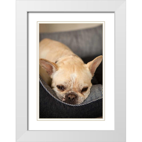Resting II White Modern Wood Framed Art Print with Double Matting by Millet, Karyn