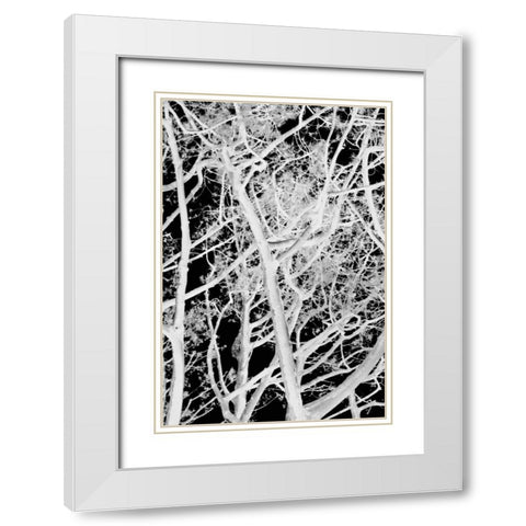 Tree Scatter White Modern Wood Framed Art Print with Double Matting by Millet, Karyn