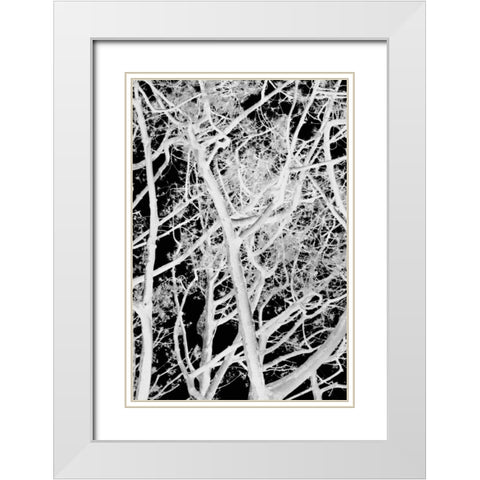 Tree Scatter White Modern Wood Framed Art Print with Double Matting by Millet, Karyn
