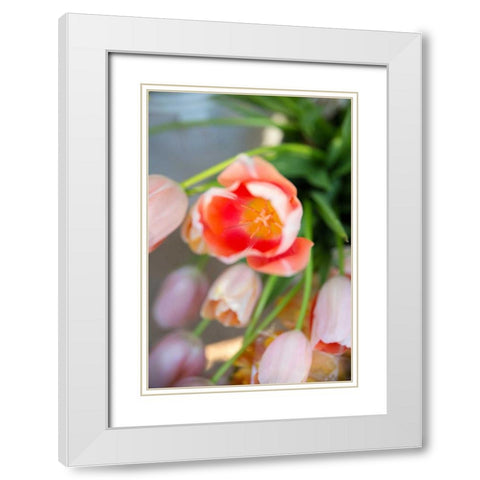 Spring Bloom I White Modern Wood Framed Art Print with Double Matting by Millet, Karyn