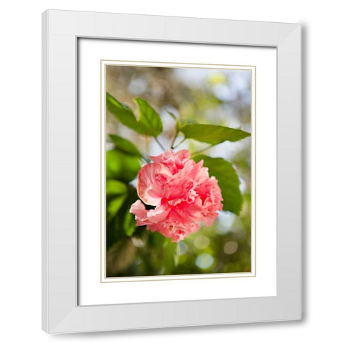 Spring Bloom II White Modern Wood Framed Art Print with Double Matting by Millet, Karyn