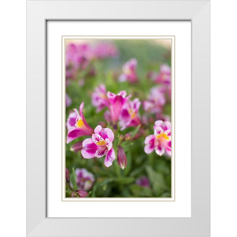 Purple and White I White Modern Wood Framed Art Print with Double Matting by Millet, Karyn