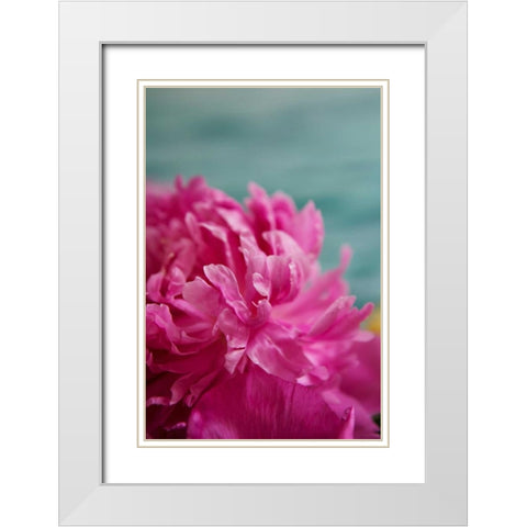 Fuchsia Peonies III White Modern Wood Framed Art Print with Double Matting by Millet, Karyn