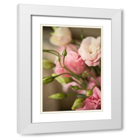 Pink Blossoms II White Modern Wood Framed Art Print with Double Matting by Millet, Karyn
