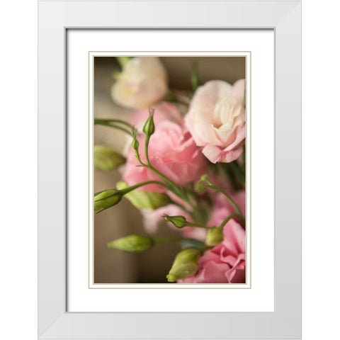Pink Blossoms II White Modern Wood Framed Art Print with Double Matting by Millet, Karyn