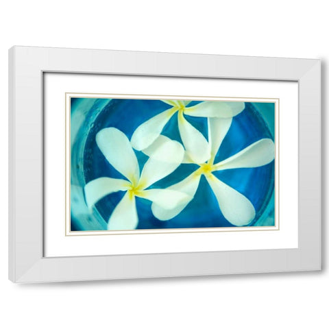 Floating Flowers II White Modern Wood Framed Art Print with Double Matting by Millet, Karyn