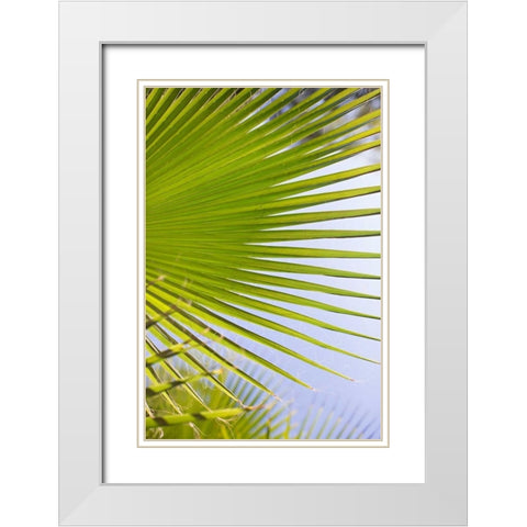 Palm Branch White Modern Wood Framed Art Print with Double Matting by Millet, Karyn
