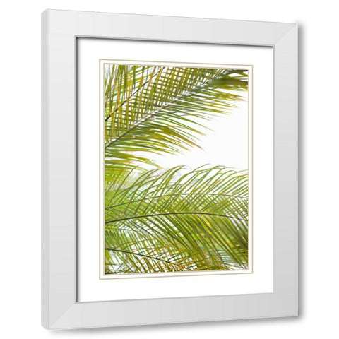 Palms in the Sun I White Modern Wood Framed Art Print with Double Matting by Millet, Karyn