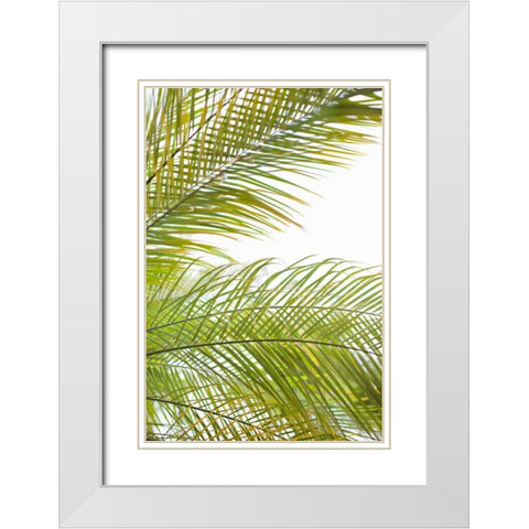 Palms in the Sun I White Modern Wood Framed Art Print with Double Matting by Millet, Karyn