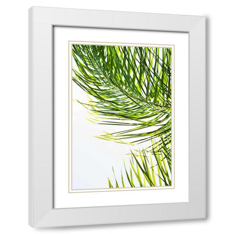Palms in the Sun II White Modern Wood Framed Art Print with Double Matting by Millet, Karyn