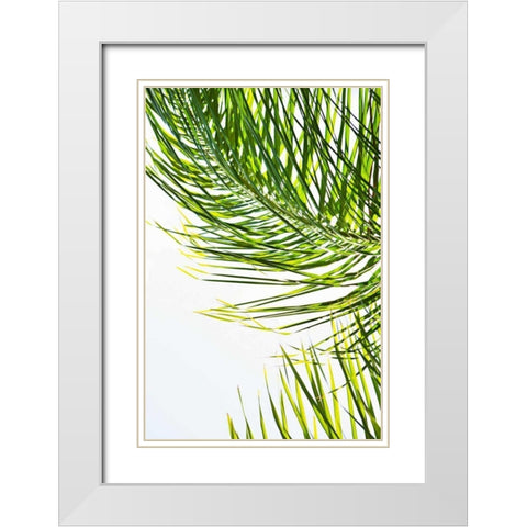 Palms in the Sun II White Modern Wood Framed Art Print with Double Matting by Millet, Karyn