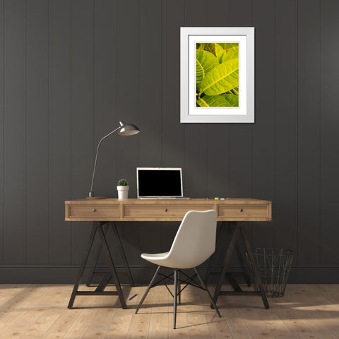 Green Leaves I White Modern Wood Framed Art Print with Double Matting by Millet, Karyn