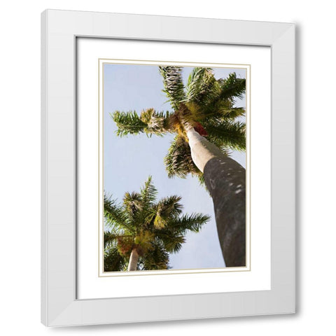 Below the Palms II White Modern Wood Framed Art Print with Double Matting by Millet, Karyn