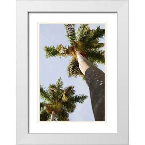 Below the Palms II White Modern Wood Framed Art Print with Double Matting by Millet, Karyn