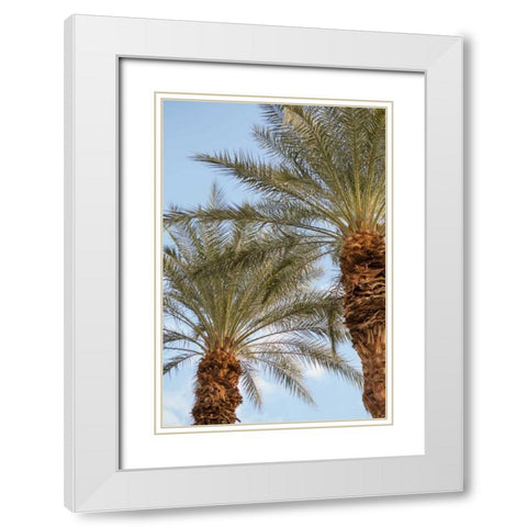 Below the Palms III White Modern Wood Framed Art Print with Double Matting by Millet, Karyn