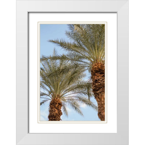 Below the Palms III White Modern Wood Framed Art Print with Double Matting by Millet, Karyn