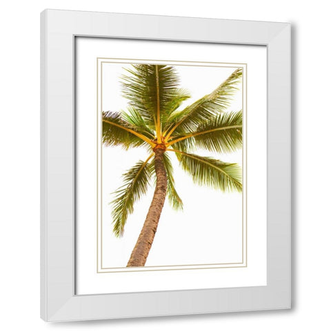 Below the Palms V White Modern Wood Framed Art Print with Double Matting by Millet, Karyn