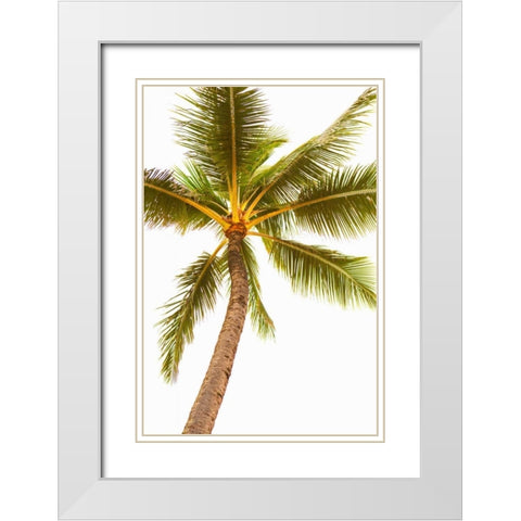 Below the Palms V White Modern Wood Framed Art Print with Double Matting by Millet, Karyn