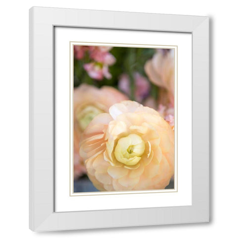 Pastel Peach Floral White Modern Wood Framed Art Print with Double Matting by Millet, Karyn