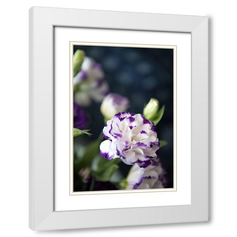 Purple Tipped Floral III White Modern Wood Framed Art Print with Double Matting by Millet, Karyn